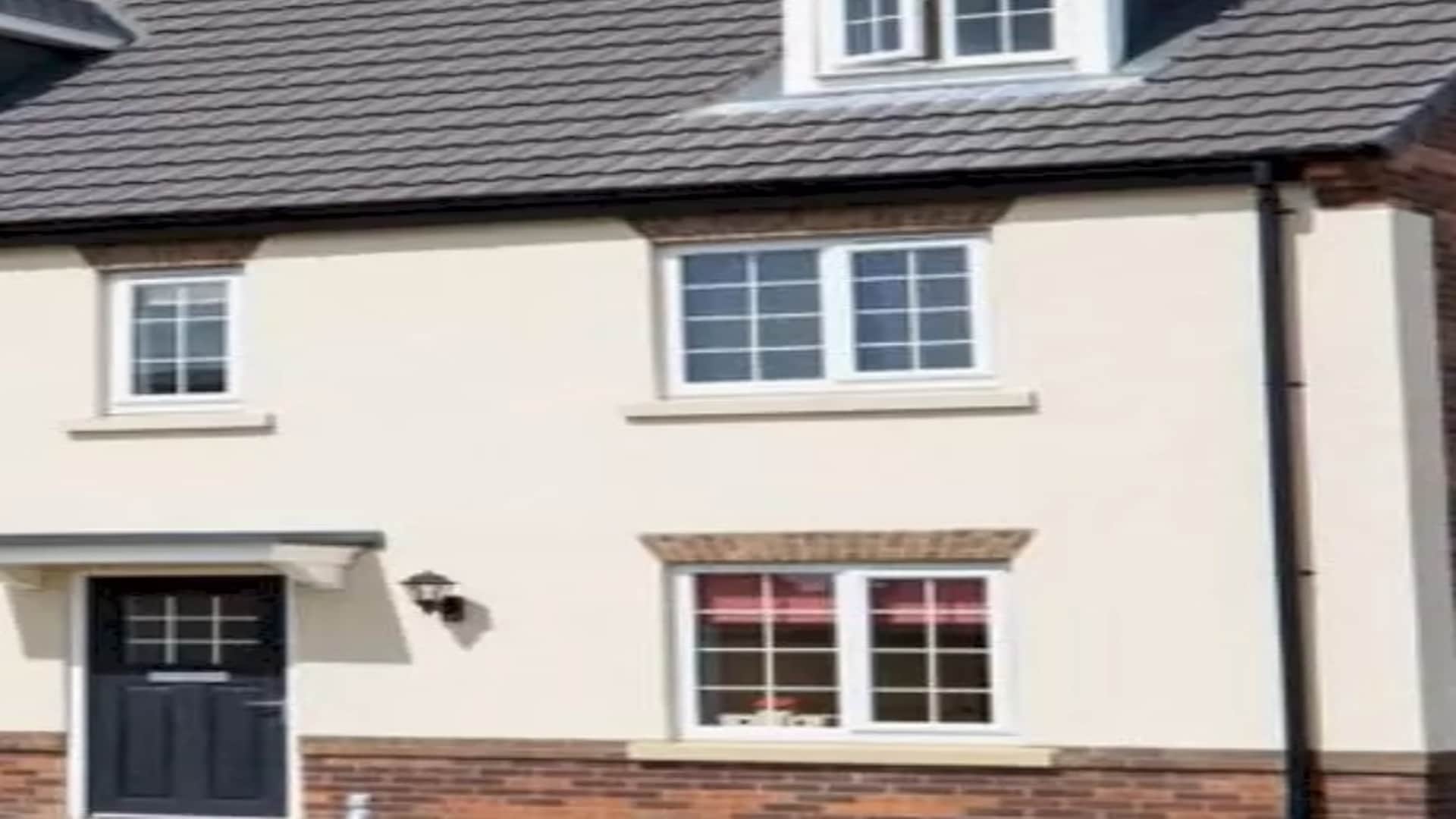 Optical illusion: Spot the hidden horse in picture in 10 seconds check your brain iq