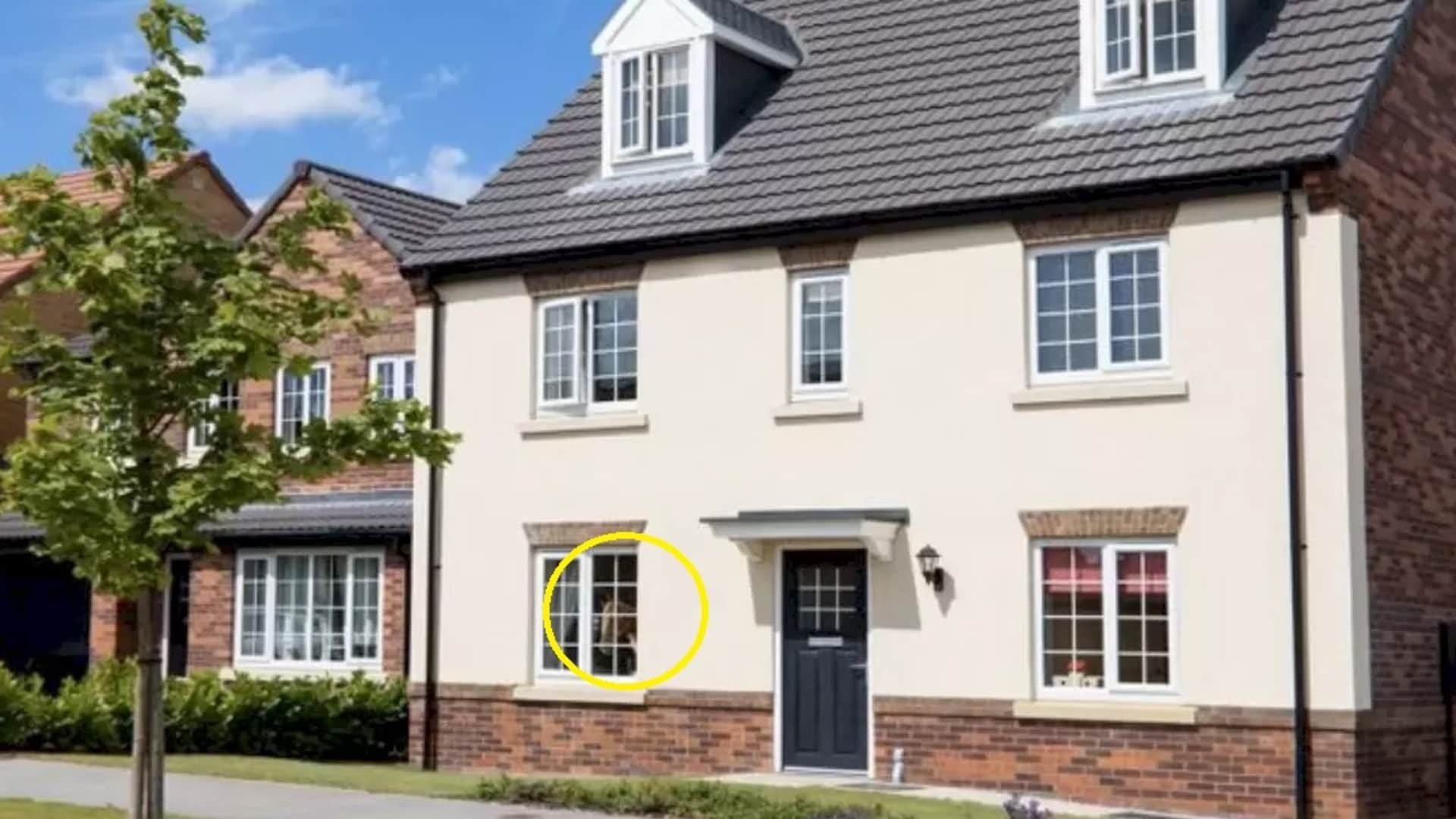 Optical illusion: Spot the hidden horse in picture in 10 seconds check your brain iq