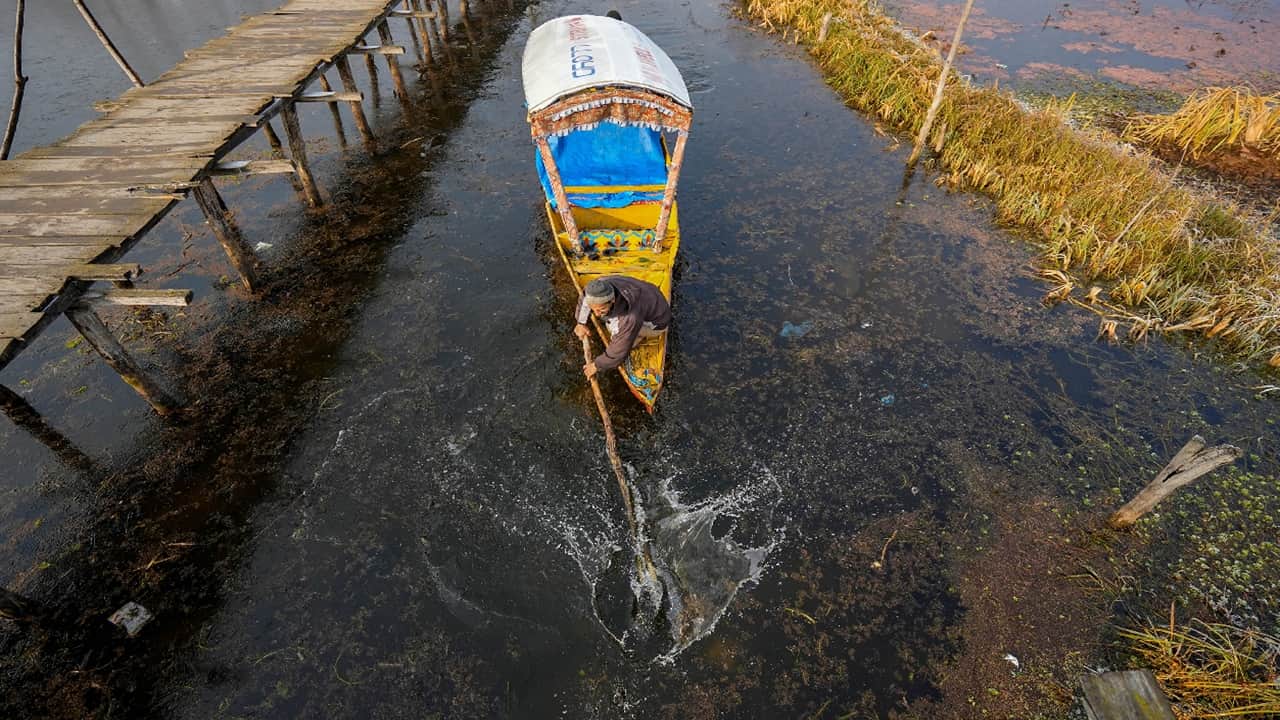 kashmir: Exotic crocodile poses threat to flora and fauna of Dal lake srinagar
