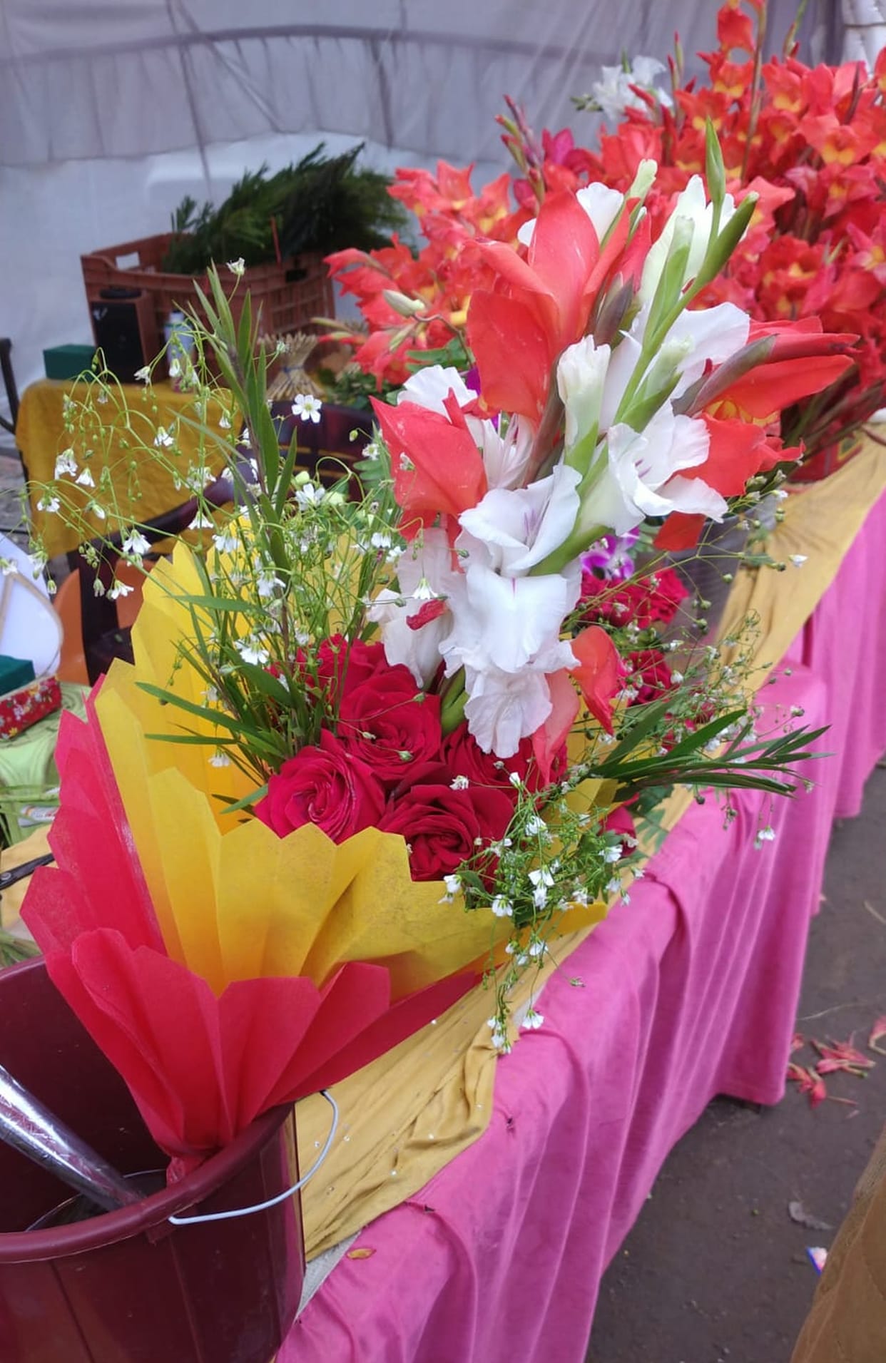 balrampur,new year,gift