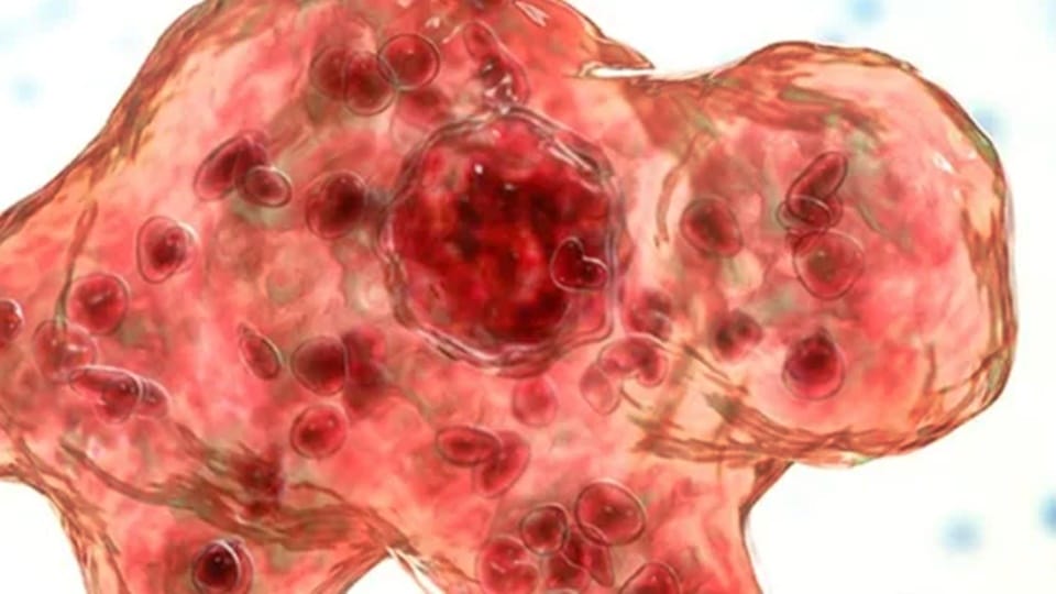 Brain-eating amoeba naegleria fowleri kills South Korea man