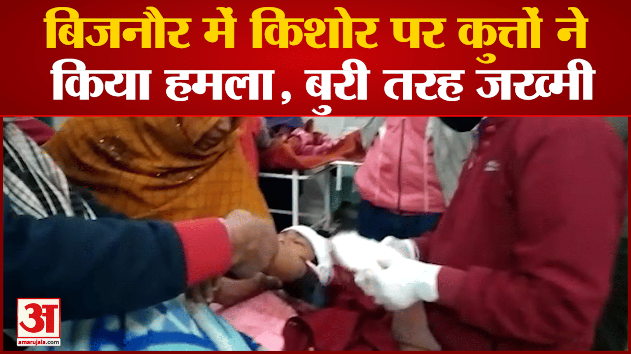 बिजनौर में किशोर पर कुत्तों ने किया हमला, बुरी तरह जख्मी घायल का अस्पताल में ईलाज जारी