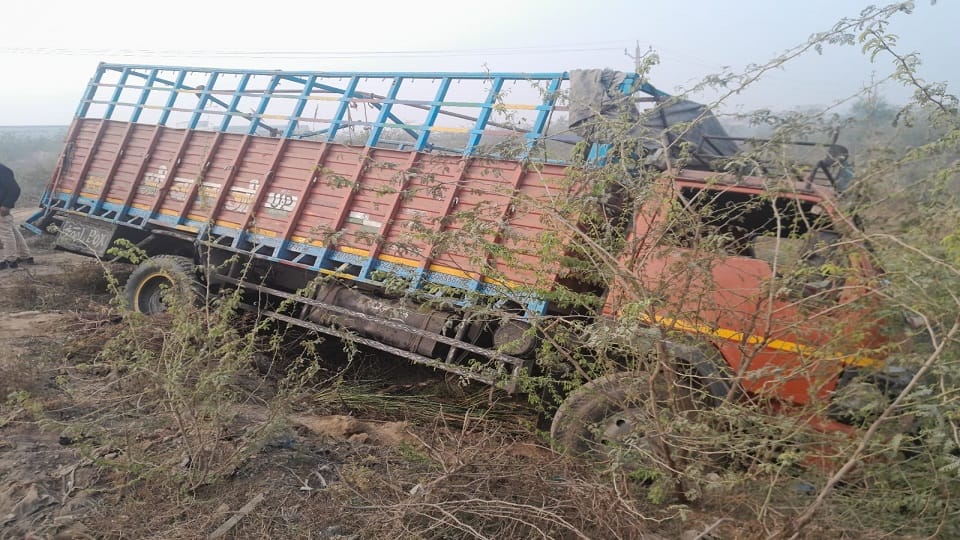 Container Full Of Govansh In mathura