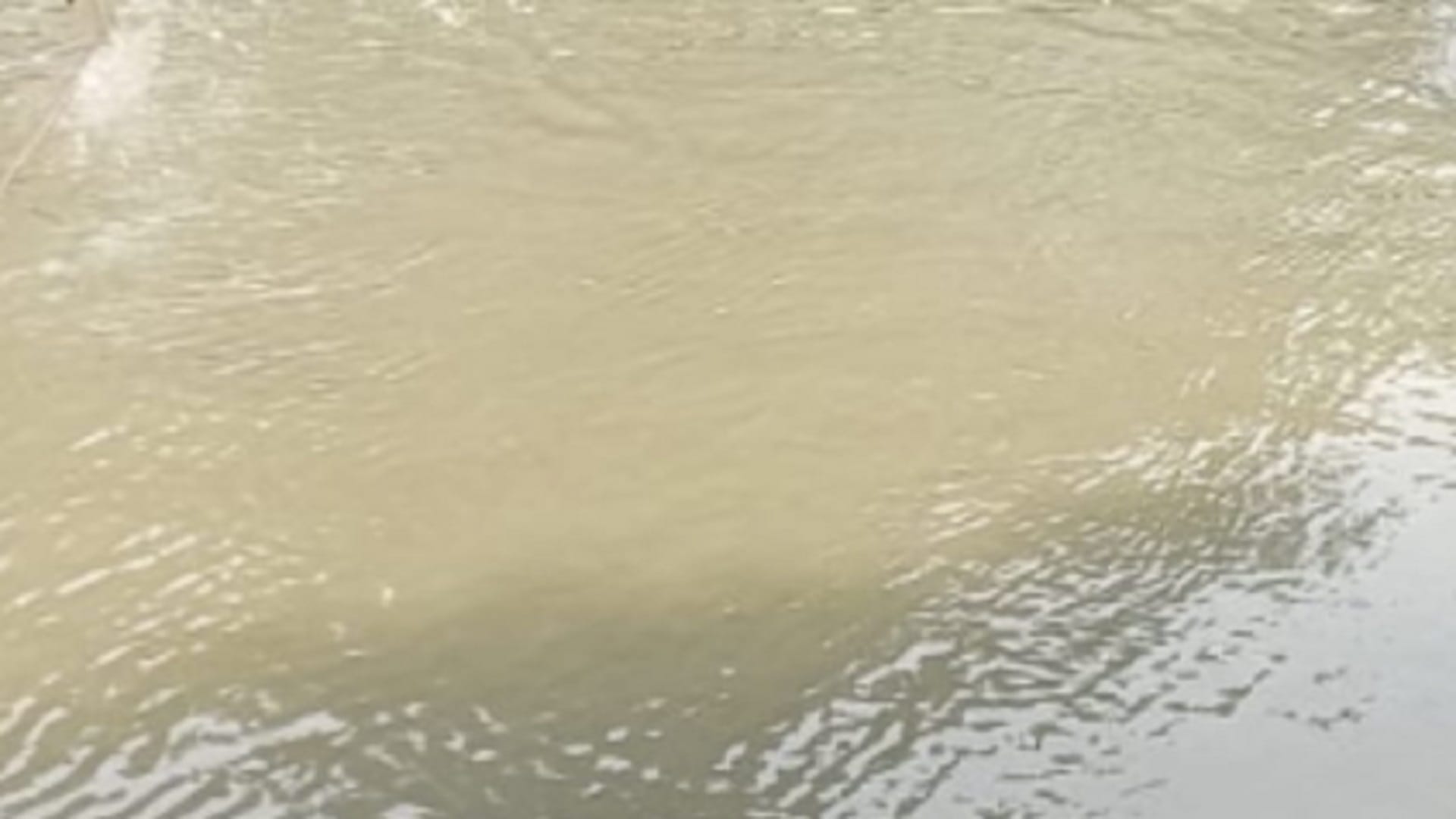 Meerut: Class 12th student Akash saved a woman life by jumping into Ganga Nahar