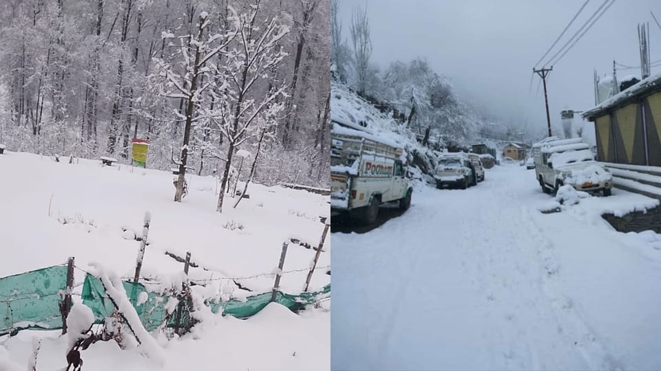 Snowfall in Himachal Pradesh brings down temperature