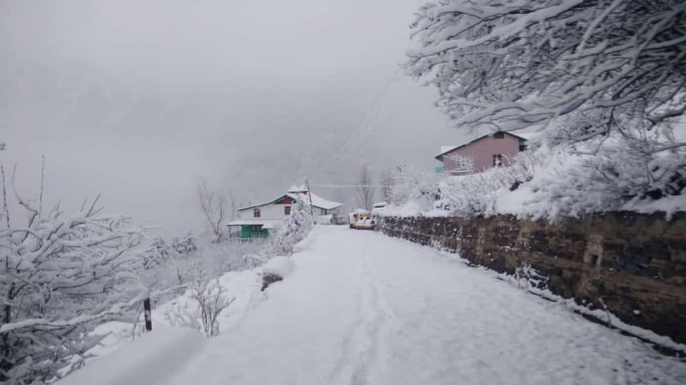 Snowfall in Himachal Pradesh brings down temperature