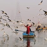 New year 2023 Celebration