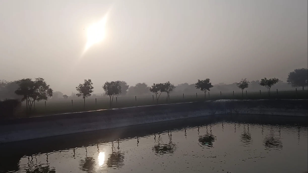 cold waves alert with Heavy Fog Condition in Rajasthan and Northern India, Temperature will Fall