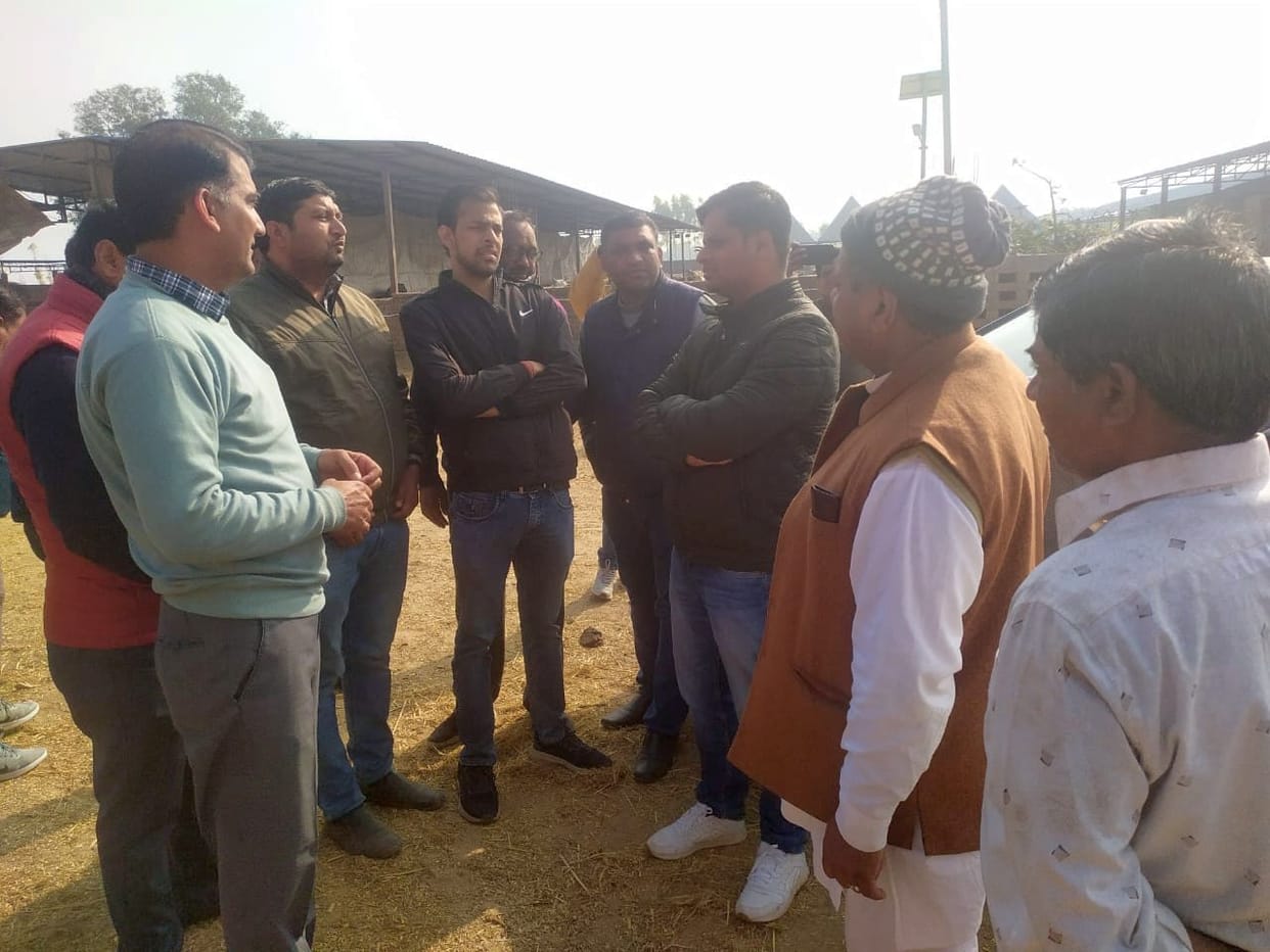 The administration accepted the lack of arrangements, cows dying of hunger and thirst