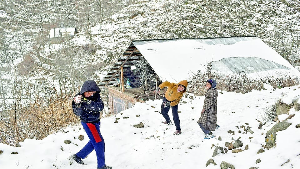 20 inches of snow fell in Jojila, traffic stalled on the Jammu-Srinagar highway