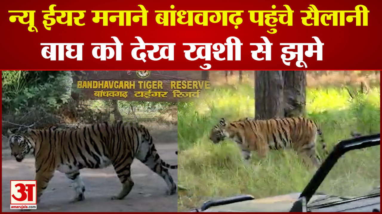 बांधवगढ़ नेशनल पार्क