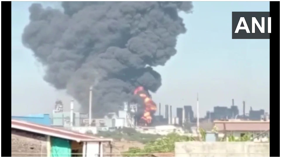 Maharashtra News Massive fire broke out in Nashik factory Solapur Thane as well Latest News Update In Hindi
