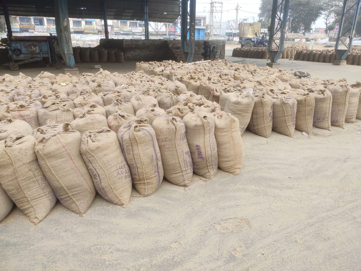 14 watchmen in the grain market, yet the sacks of paddy are being stolen continuously
