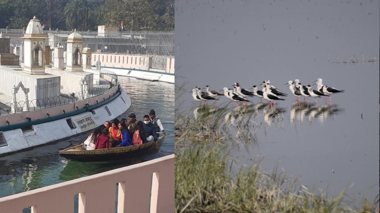 Meerut: historic city Hastinapur buzzing with tourists and foreign birds on New Year