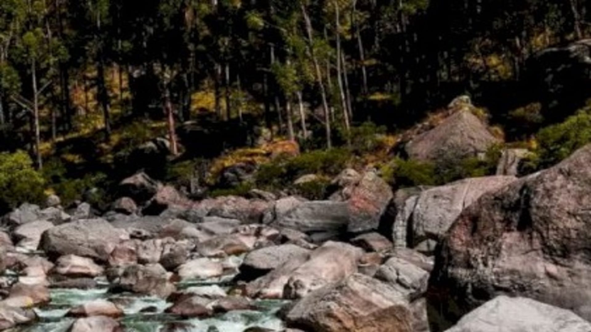 Optical Illusion IQ Test:  Spot the hidden bear in picture in 5 seconds check your brain iq