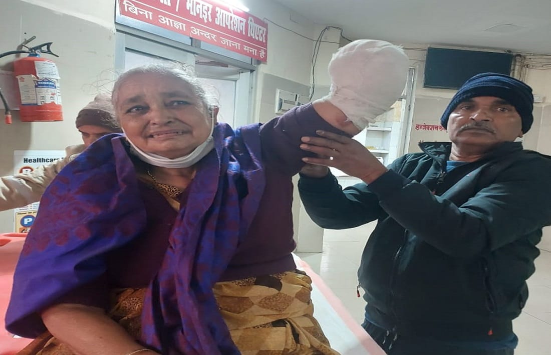 Tragic accident with woman who came to Kashi from Gujarat hand chopped off while boating in ganga