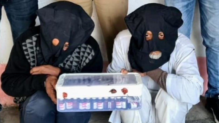 गिरफ्तार दोनों भाई