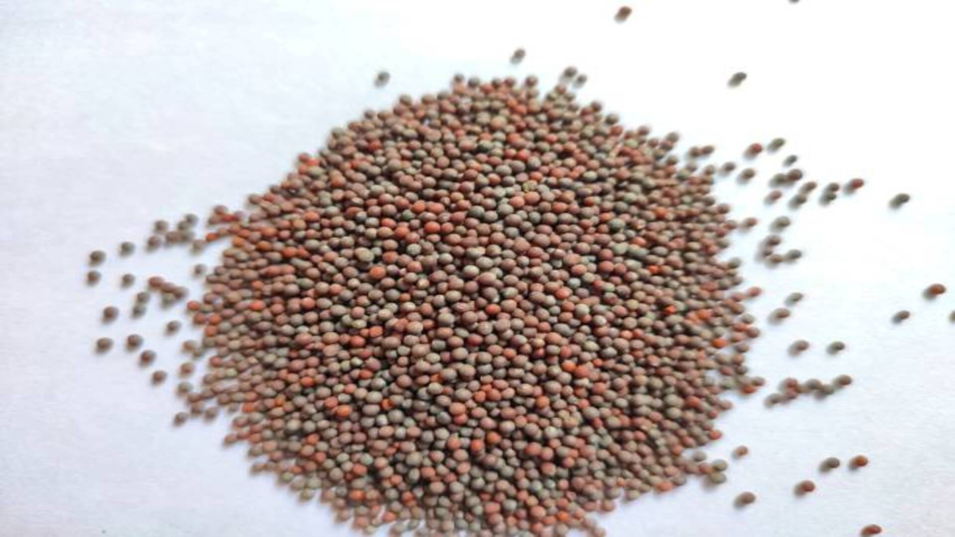 Black Mustard Remedies Buri Nazar SE Bachne Ke Kali Sarson Ke Upay in Hindi