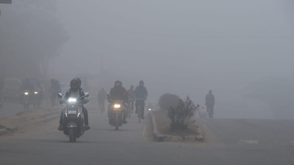 Meteorological Department issued a two day red alert in Haryana