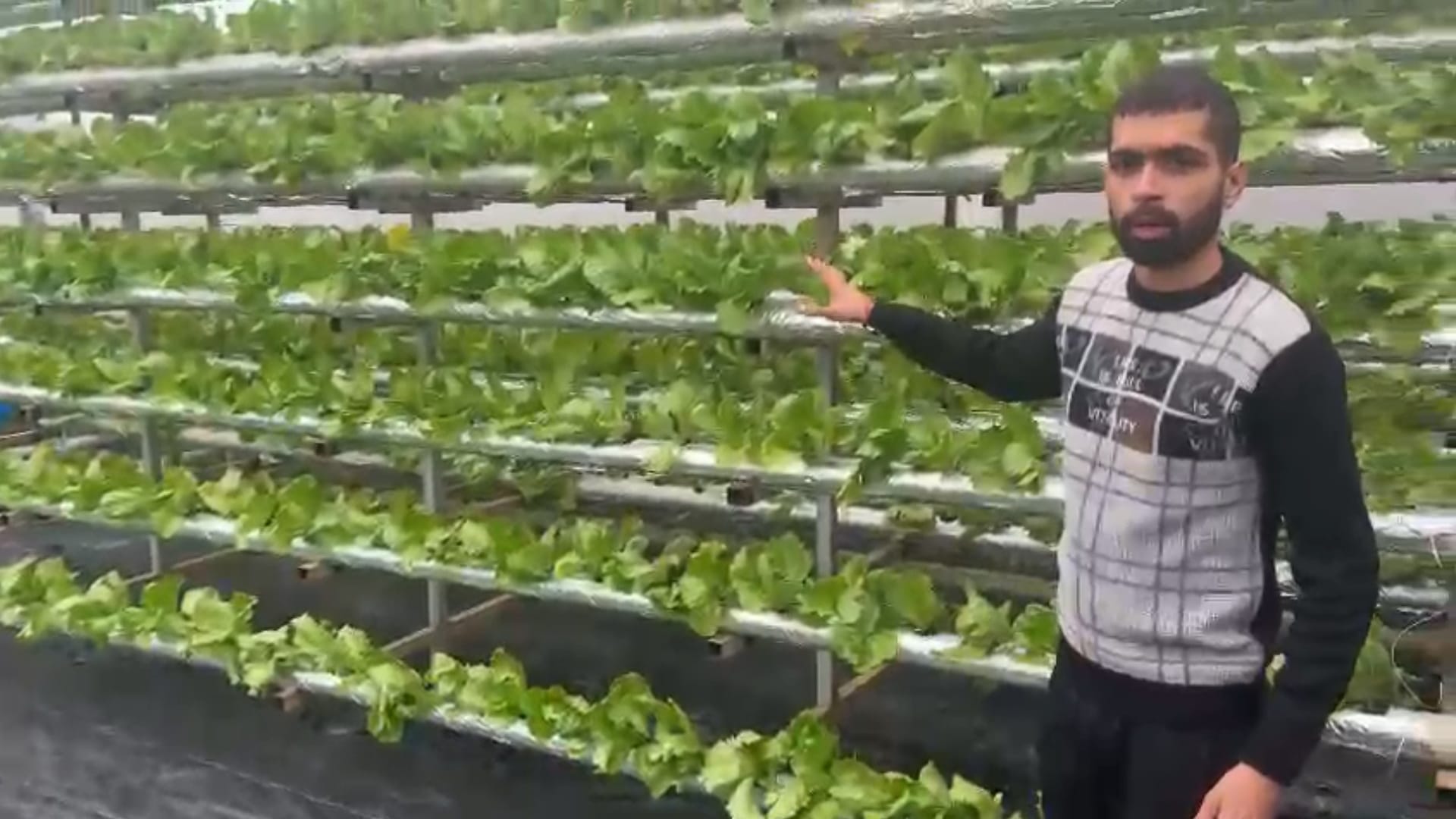 Saharanpur young farmer is growing vegetables with hydrophonic technique, read inspiring story
