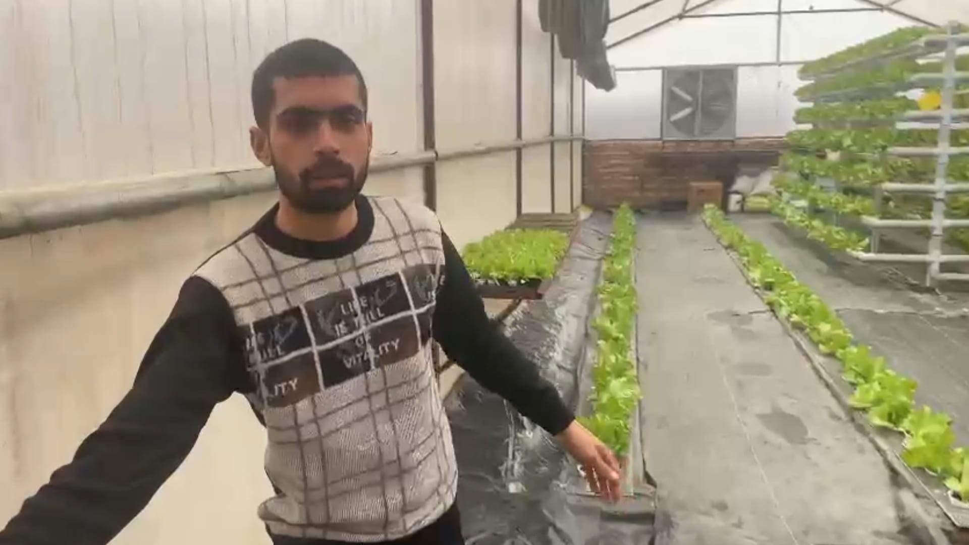 Saharanpur young farmer is growing vegetables with hydrophonic technique, read inspiring story