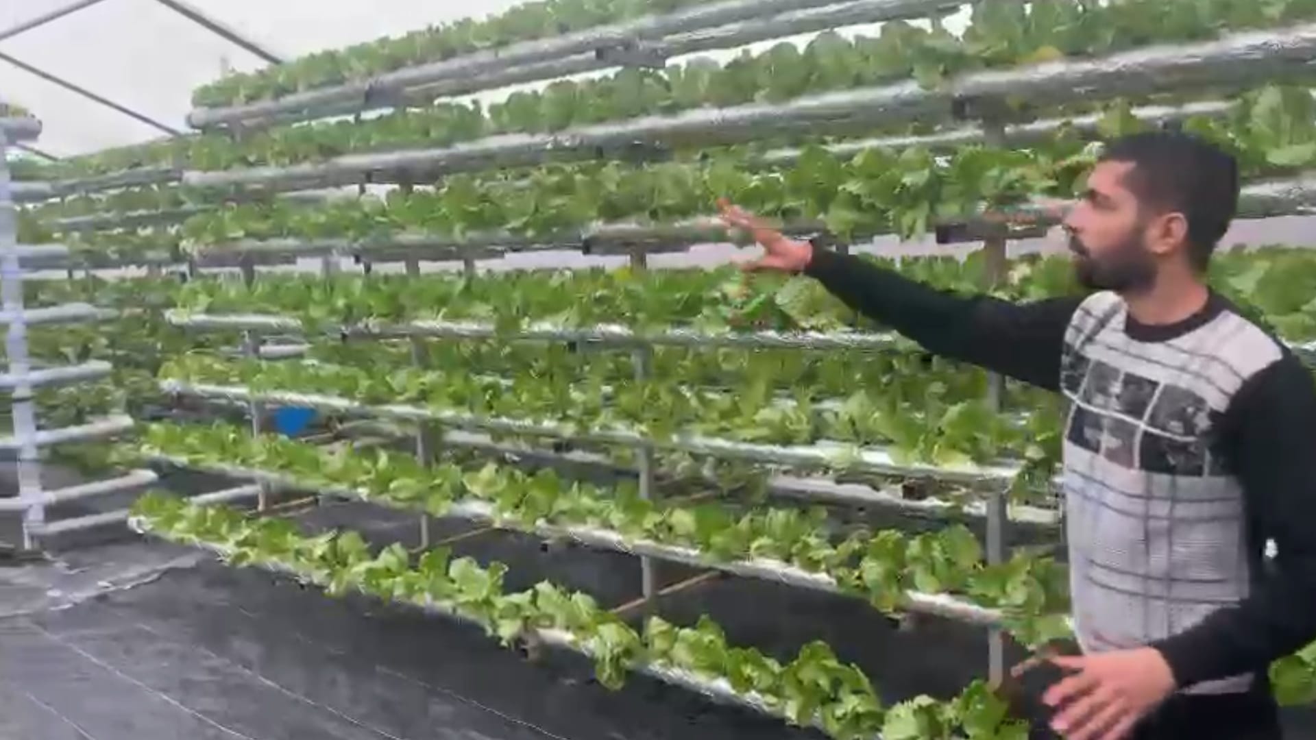 Saharanpur young farmer is growing vegetables with hydrophonic technique, read inspiring story