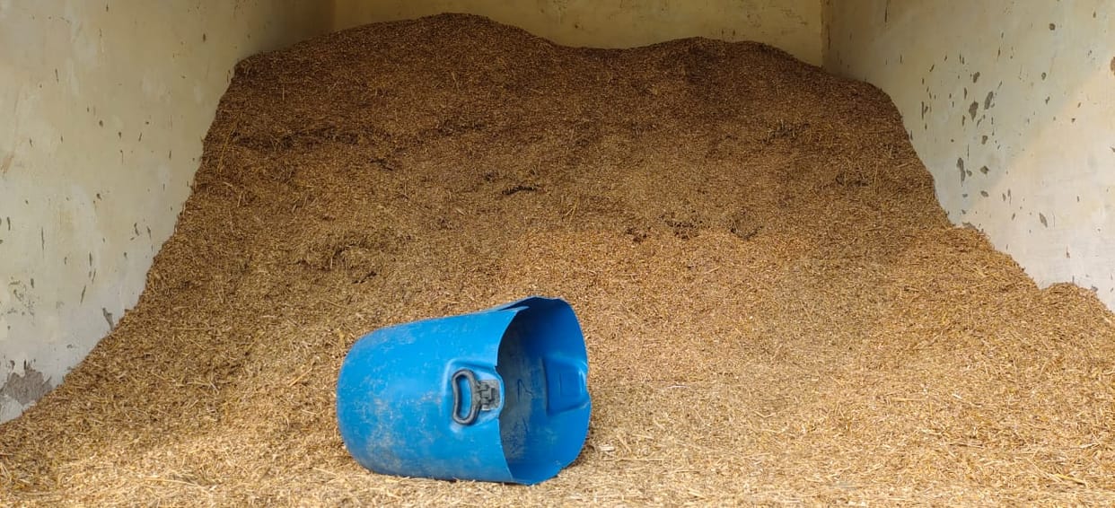 Mess in the supply of fodder in cowsheds