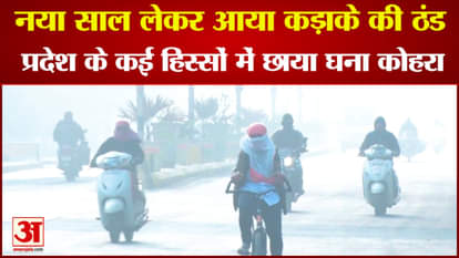 Severe cold begins in Madhya Pradesh dense fog in many districts including the capital bhopal