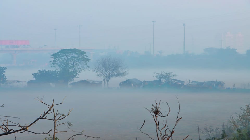 Dense fog likely in Delhi Chandigarh and Haryana for three to four days, yellow alert for cold wave