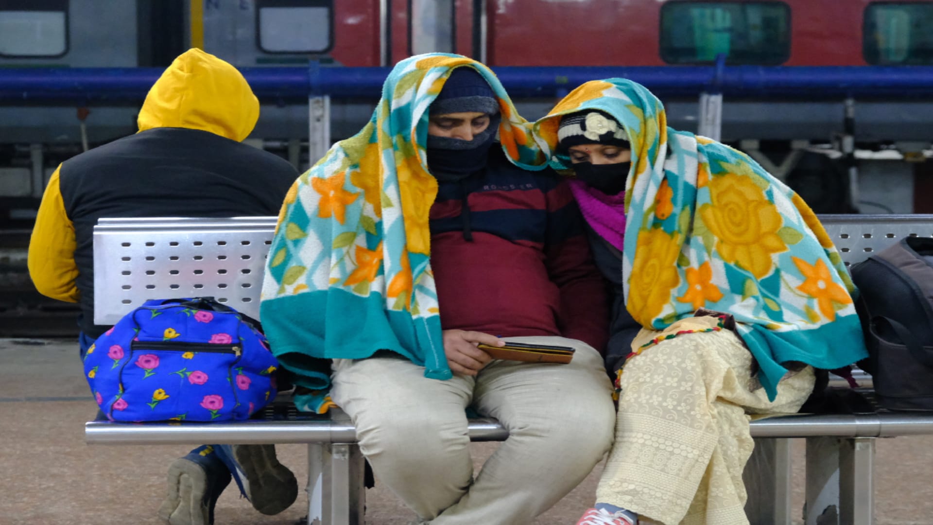 Gorakhpur Weather Update heavy fog and cold wave In Gorakhpur