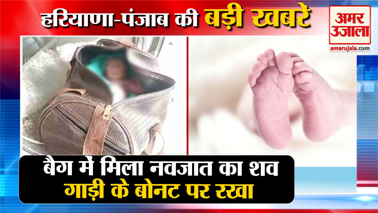 हरियाणा न्यूज