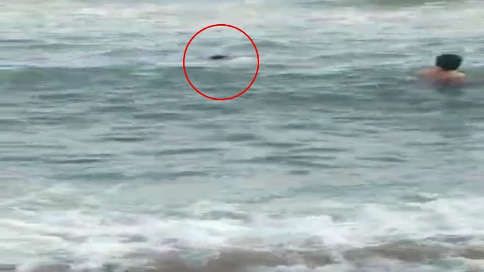 Mother wept after seeing the dead body of software engineer son who died by drowning in the sea