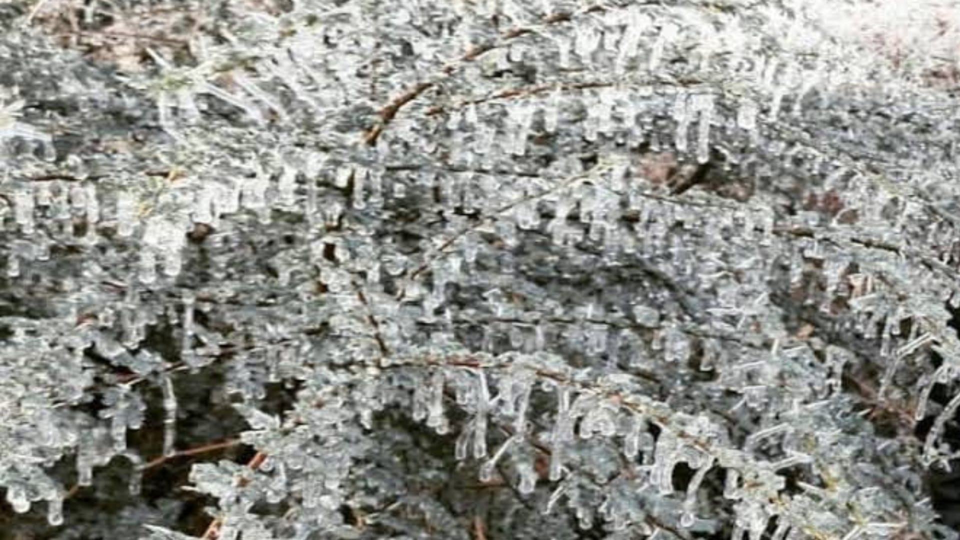 Rajasthan Weather Update Temperature in minus degree in Churu Fatehpur-Mount Abu