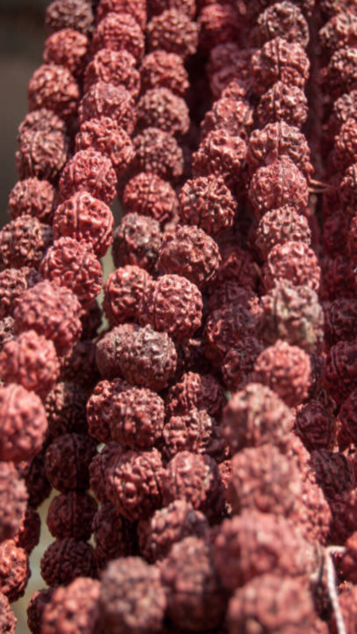 Sawan 2023 Rudraksha Importance Will Solve Your All Career Problems Know Rudraksha Benefits