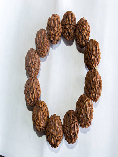 rudraksha