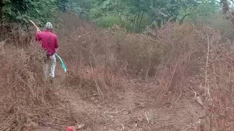 वन विभाग और पुलिस टीम पर हमला