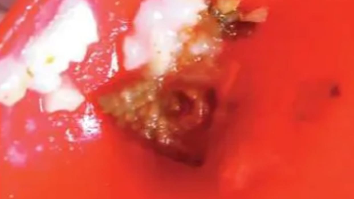 Meat piece in potato-tomato vegetable in Raisen Anganwadi SDM orders inquiry