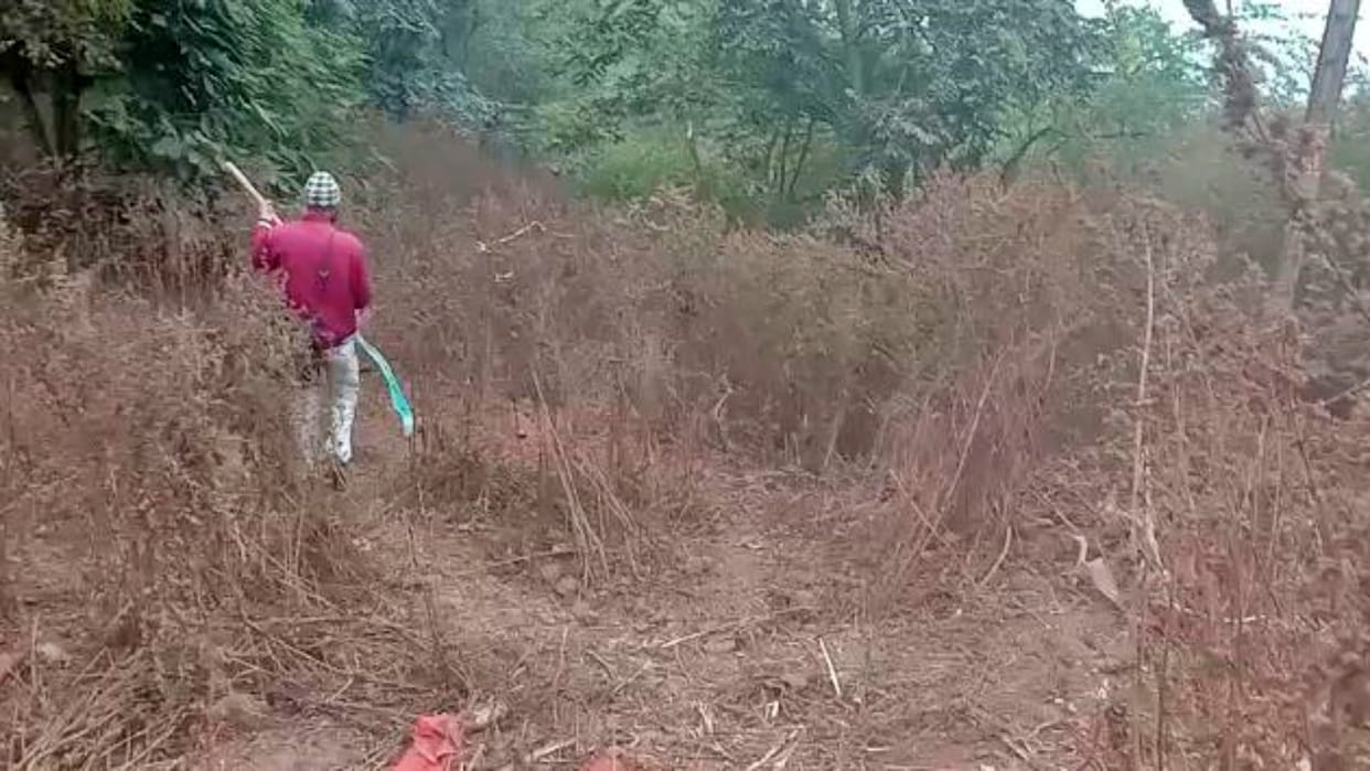 Forest department land worth crores was encroached upon reality came to fore after measurement