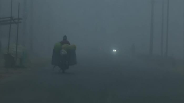 Cold Wave Severe cold continues in North India, there will be no relief now