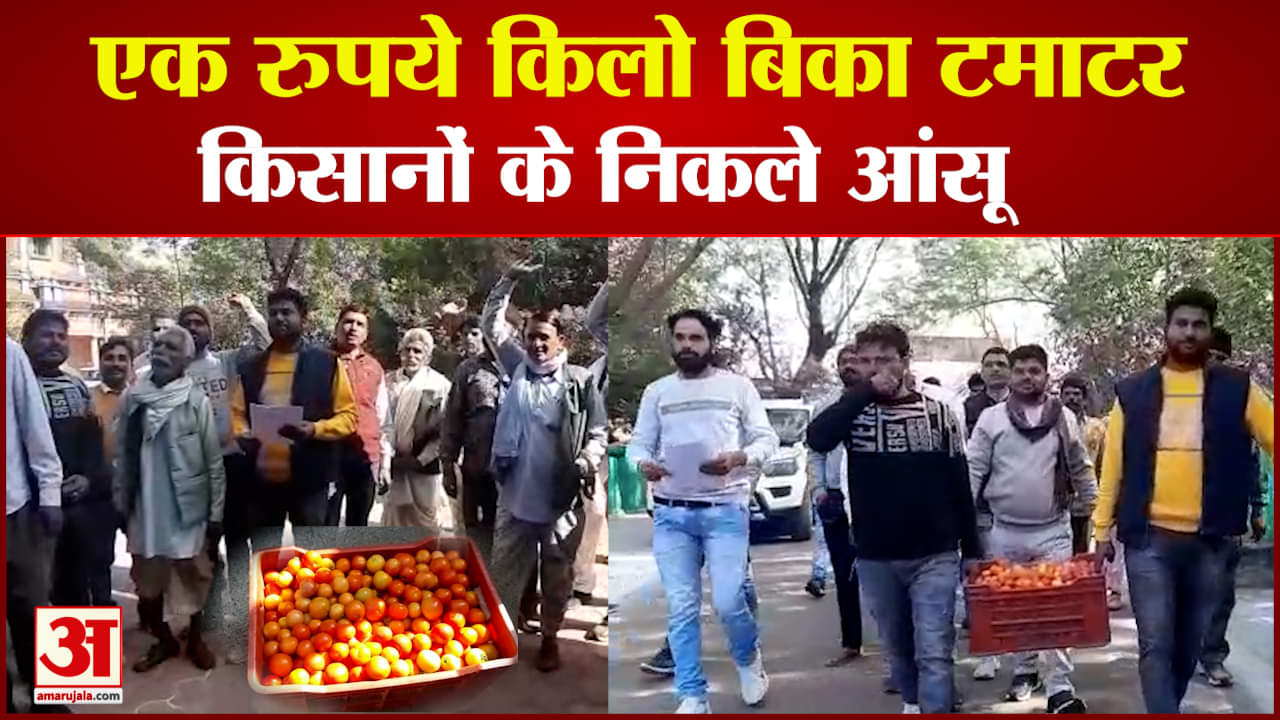 एक रुपये किलो टमाटर बेचने को मजबूर किसान