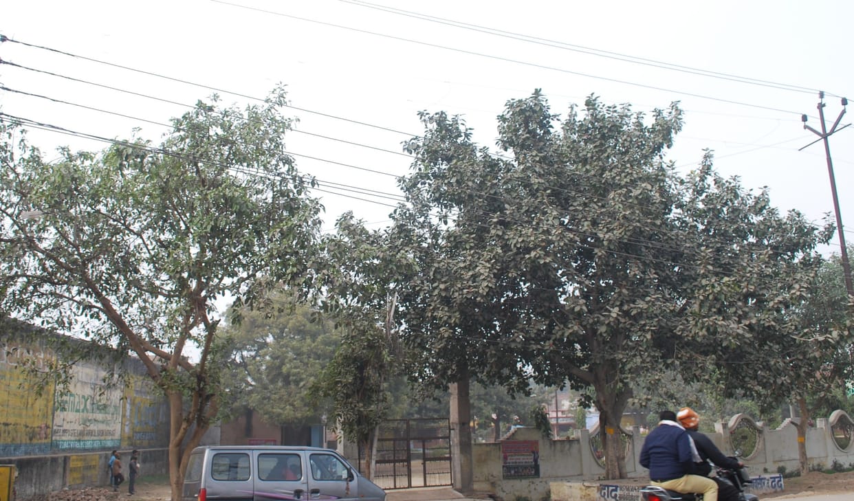 Hathras: 840 kilometers of bare wire in the district, how electricity theft and accidents stopped