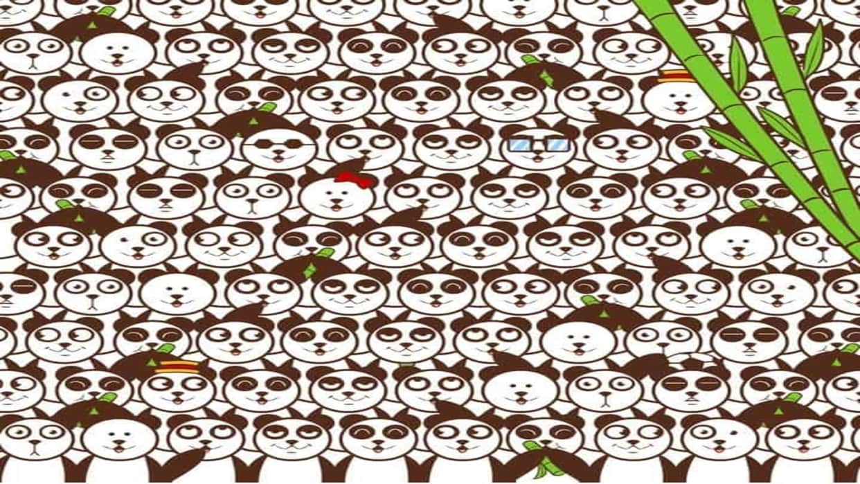 Optical Illusion IQ Test Can you find a soccer ball among the pandas in 13 seconds brain teaser picture puzzle