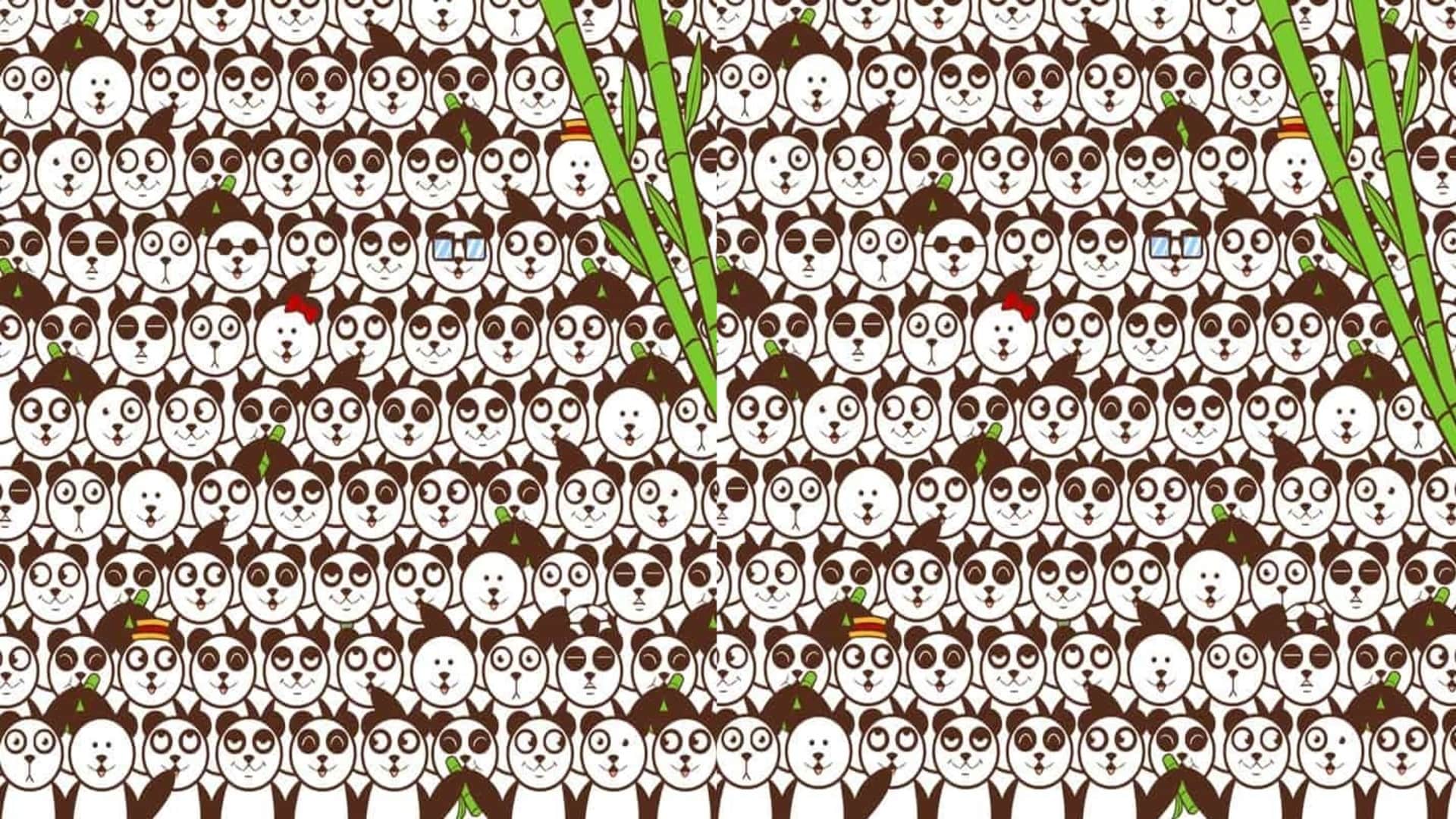 Optical Illusion IQ Test Can you find a soccer ball among the pandas in 13 seconds brain teaser picture puzzle
