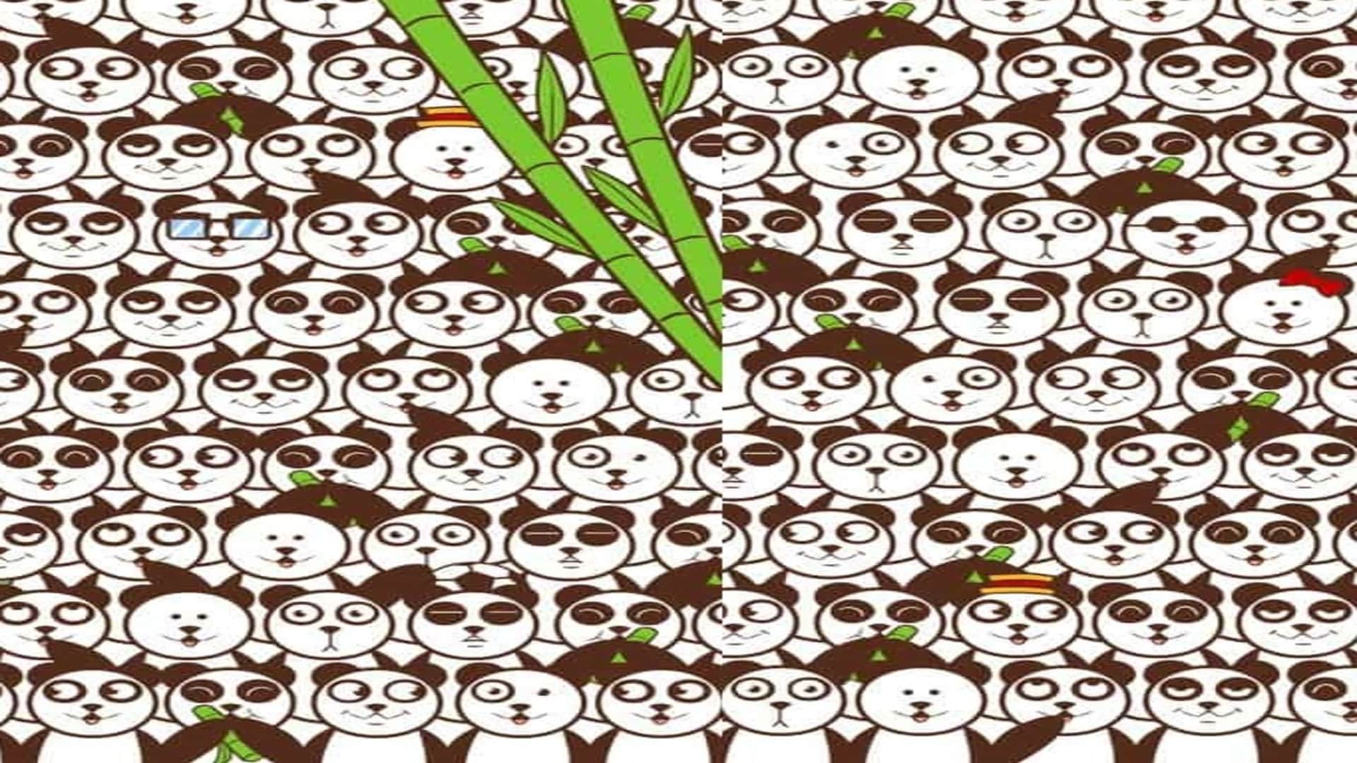 Optical Illusion IQ Test Can you find a soccer ball among the pandas in 13 seconds brain teaser picture puzzle