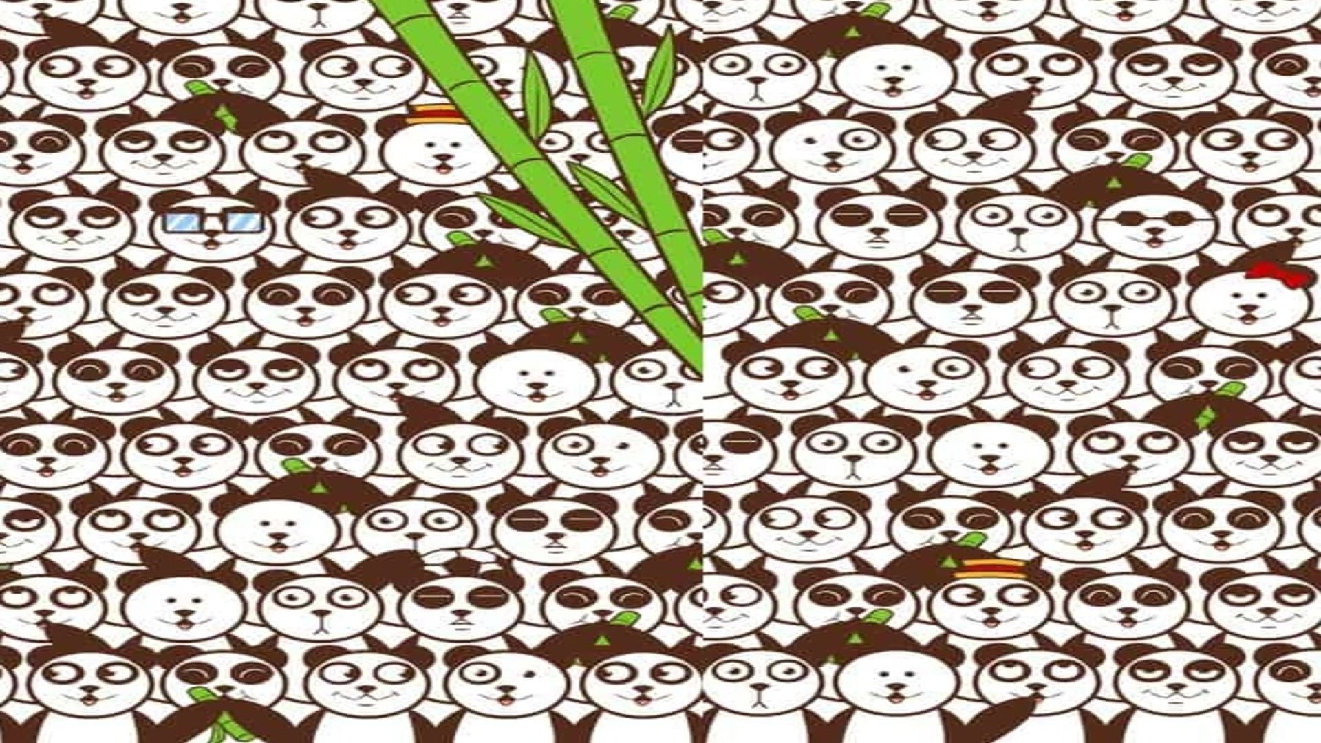 Optical Illusion IQ Test Can you find a soccer ball among the pandas in 13 seconds brain teaser picture puzzle