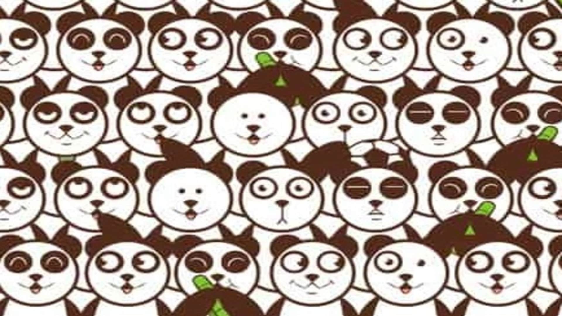 Optical Illusion IQ Test Can you find a soccer ball among the pandas in 13 seconds brain teaser picture puzzle
