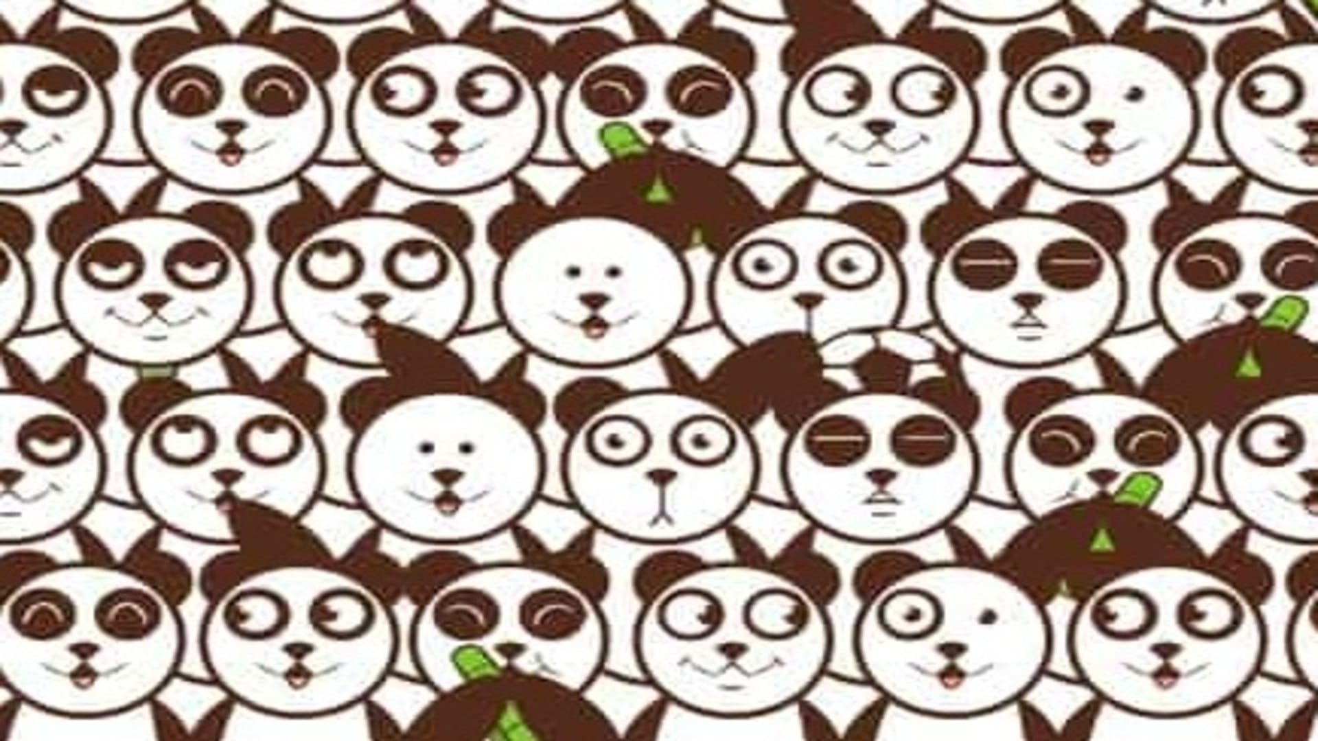 Optical Illusion IQ Test Can you find a soccer ball among the pandas in 13 seconds brain teaser picture puzzle