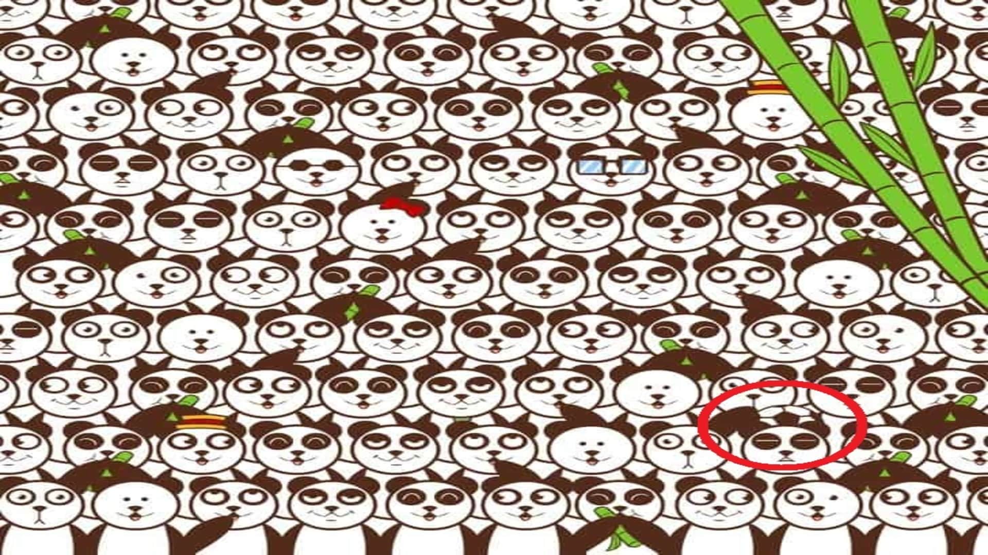 Optical Illusion IQ Test Can you find a soccer ball among the pandas in 13 seconds brain teaser picture puzzle