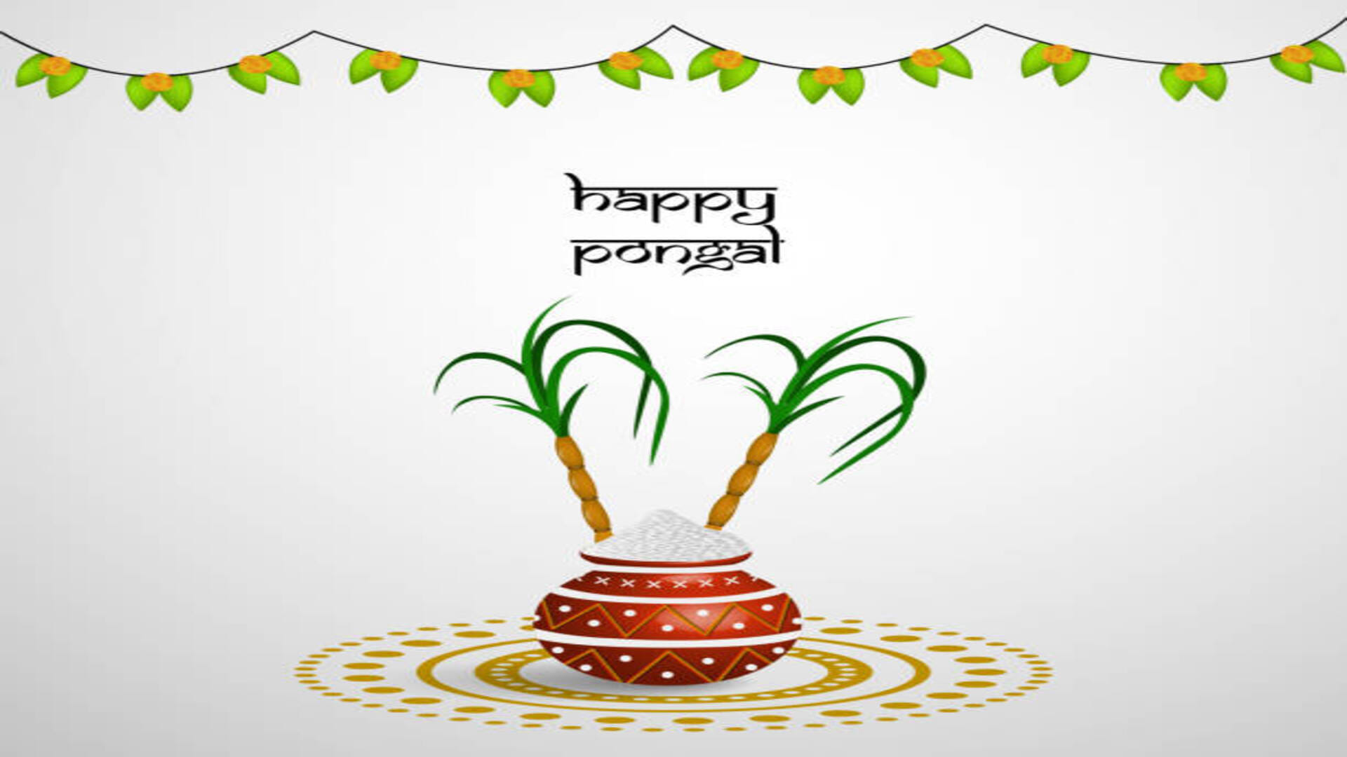 Pongal 2023 know significance importance and who is worshiped on the four days of pongal