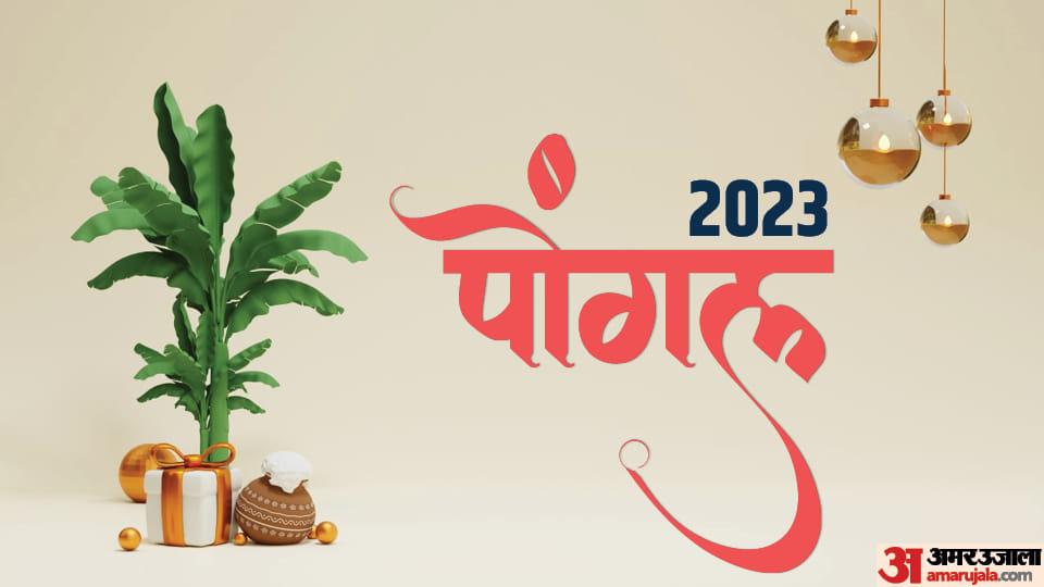 Today’s Kitchen: Pongal 2023 Special Rice Dish to Prepare Know Recipe in Hindi